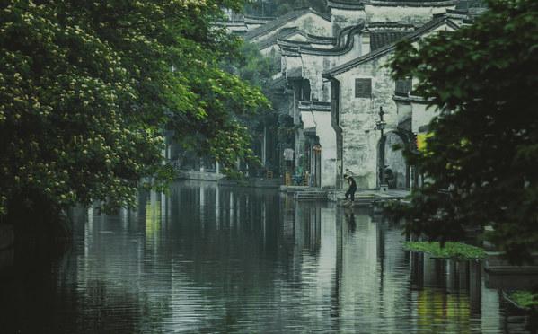 小分子肽对骨生成发育的帮助